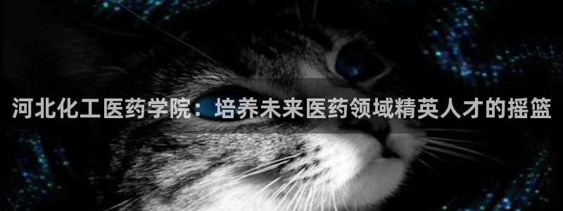九游会官方正版下载