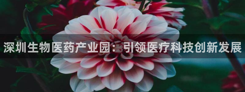 ag亚洲国际游戏九游会