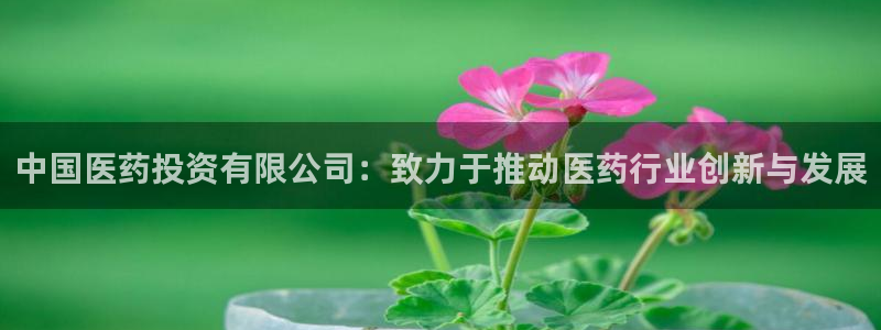 九游会是什么组织