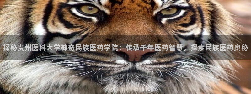 九游会首页登陆