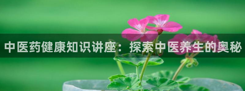 九游j9登陆