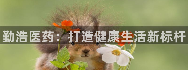 九游会ag入口