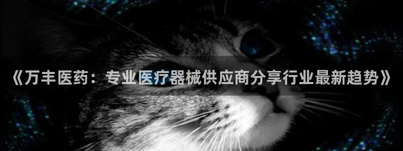 ag老队