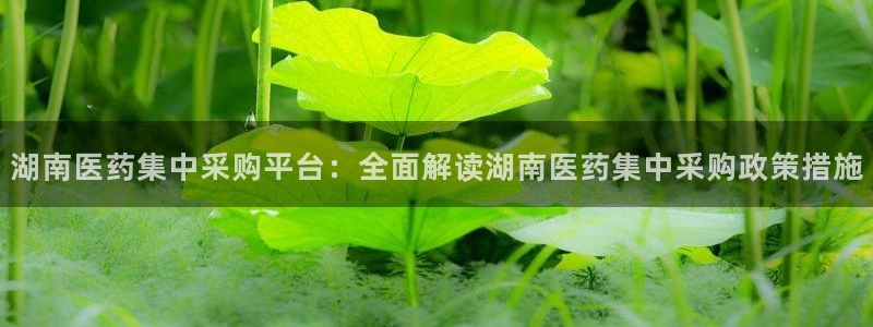 九游会是大平台吗