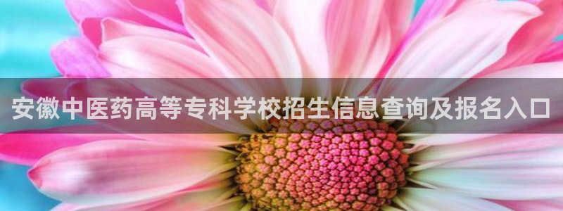 j9九游会网址是什么