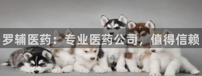九游j9会 - 真人游戏第一品牌
