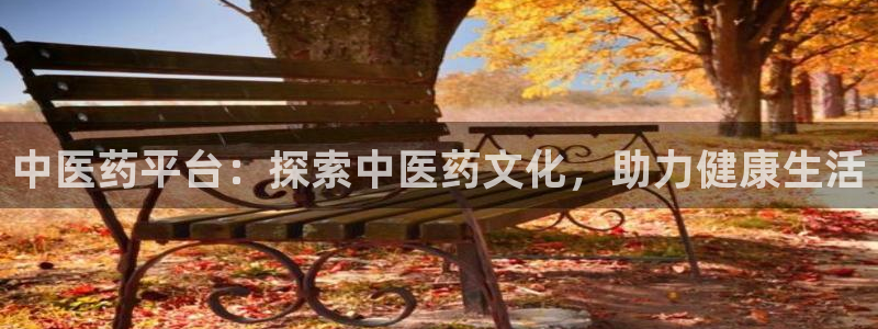 ag8亚洲九游会