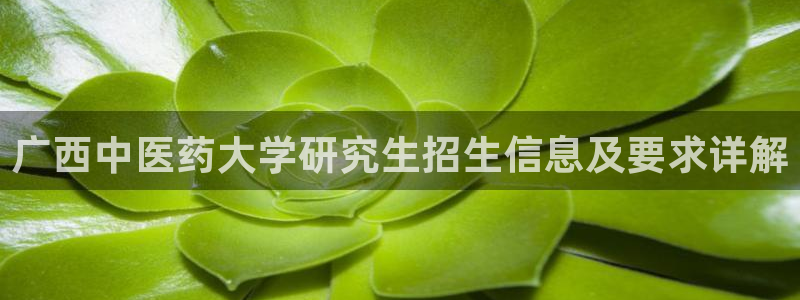 九游会官网ag旧版