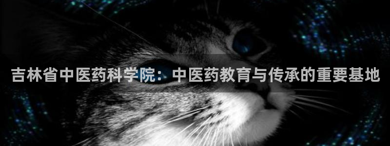 j9九游会买u多少一个