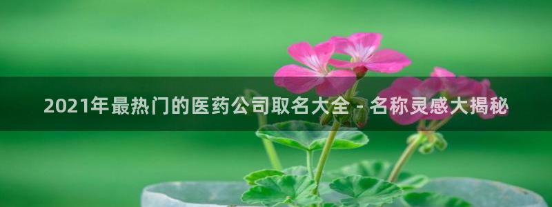 九游j9会