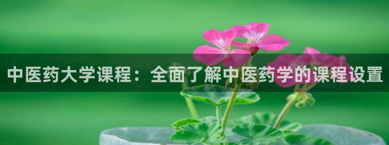 九游会AG下载手机端