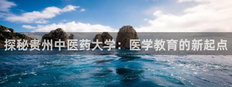 ag8九游会