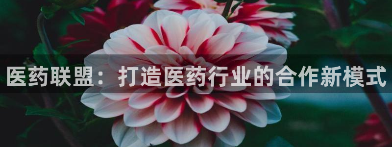 九游会集团登录