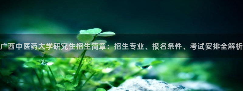 九游会个人中心登录页面