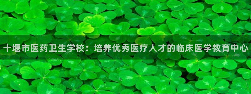 九游会电话