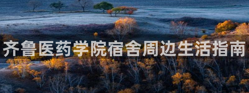 j9九游会vip