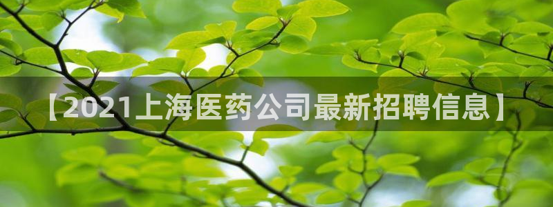 九游会j9网站首页