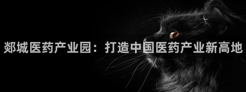 九游会集团货币
