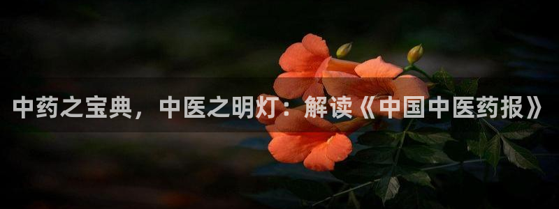 J9九游会官网app
