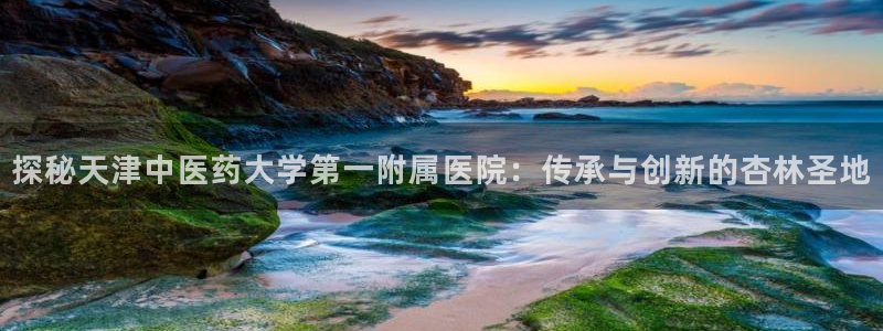 九游会官方app