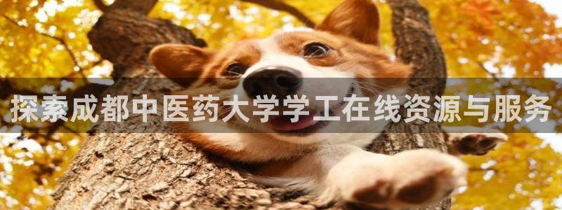 j9官网登录入口