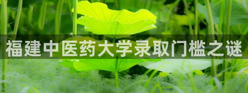 九游会官方正版下载