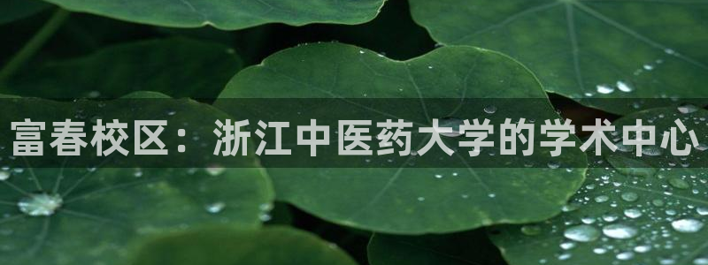 九游会官网客户端