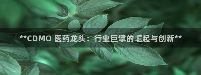 J9九游会登陆旧版