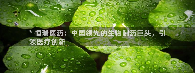 j9九游会app下载