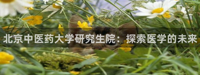 九游会官方平台