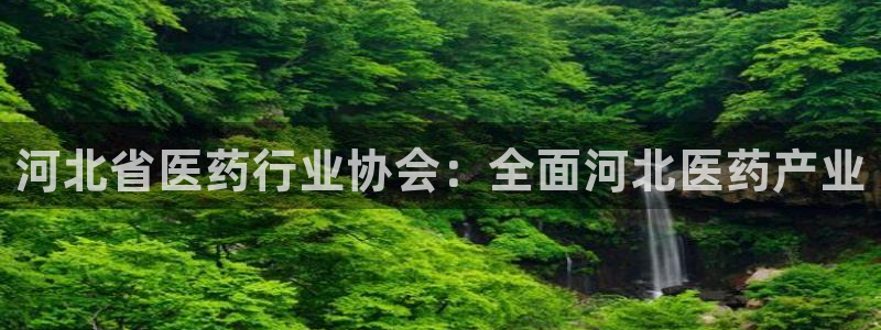 ag九游会论坛