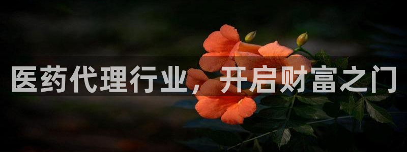九游会进不去了