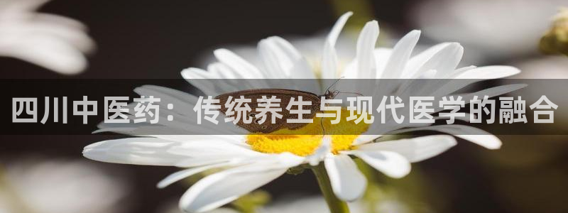 ag8九游会