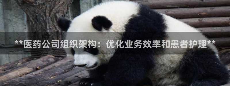 九游会是ag吗