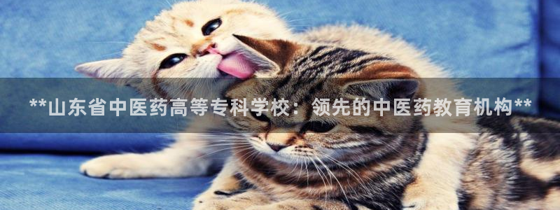 j9九游会vip
