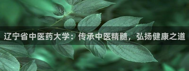 九游会ag平台