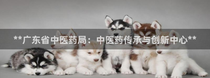 ag九游会app下载版官网正版