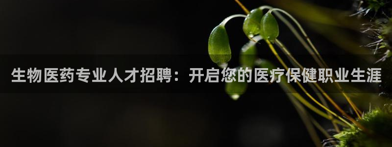 九游会集团币圈