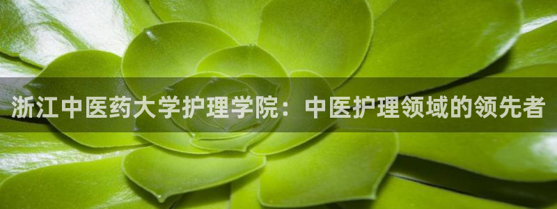 j9九游会导航