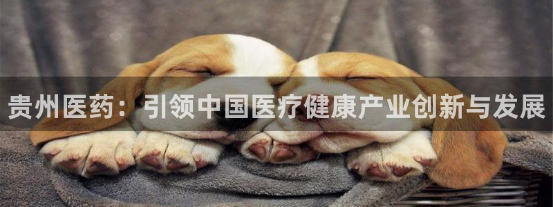 九游会网页版登录