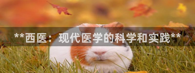 九游会官网多少