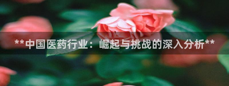 九游会官网多少