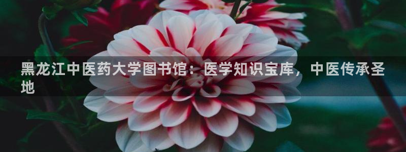 九游会 网址