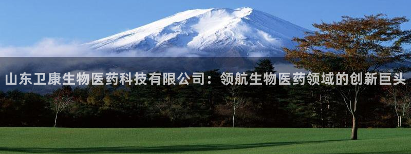 九游会在