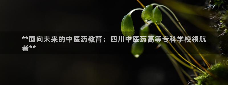 usdt九游会老哥俱乐部