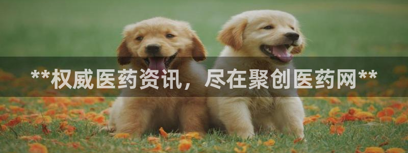 j9九游会登录网址