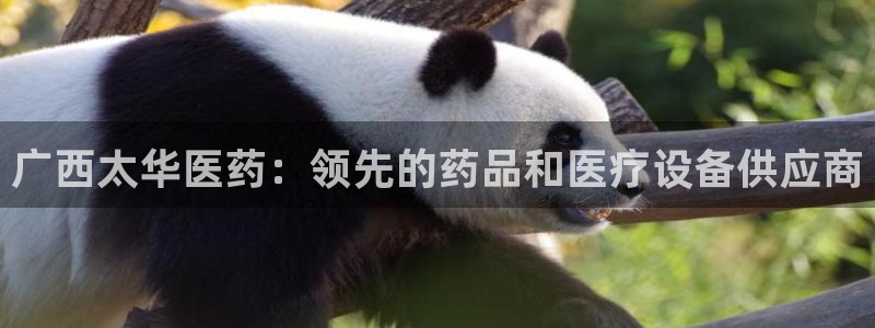 九游会最新网站