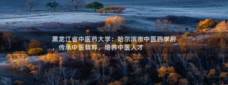 j9九游会登录