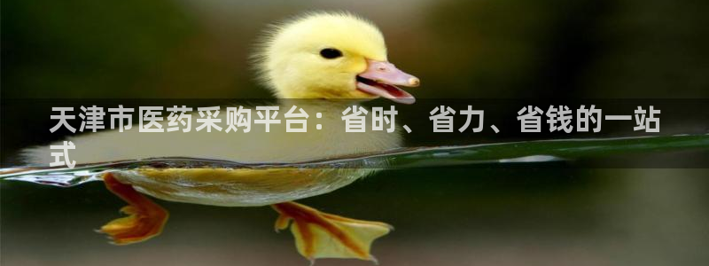 九游会官网入口