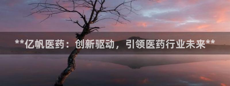 j9九游会ag8手机aPP